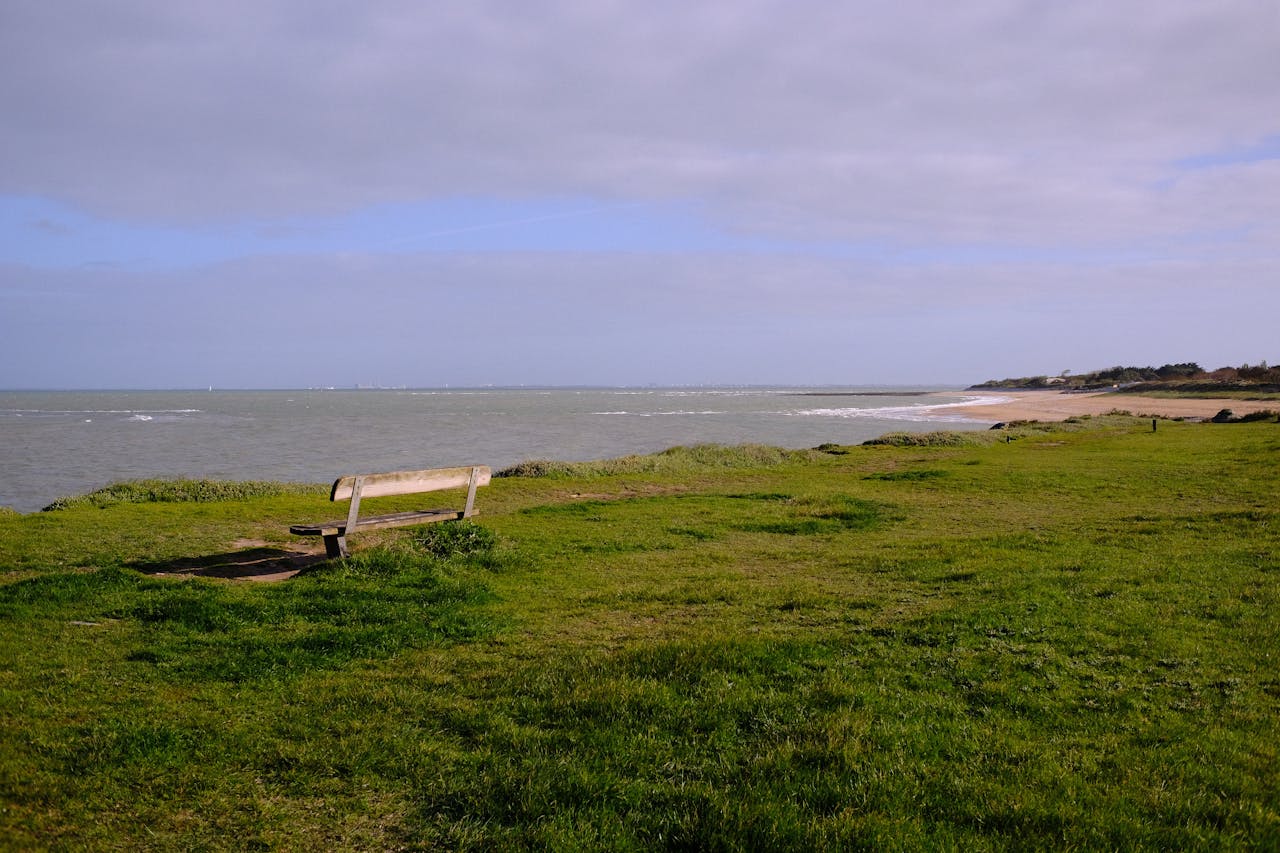 Coastal Contemplation